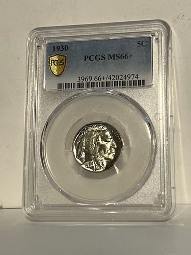 1930 5c Buffalo Nickel PCGS MS66+ Gem+ Uncirculated Coin