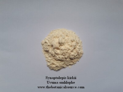 Synaptolepis kirkii - Uvuma-omhlope - Organic Root Powder!