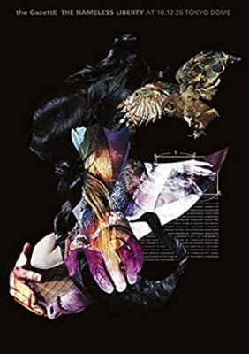 the GazettE/THE NAMELESS LIBERTY AT 10.… THE GAZETTE THE NAMELESS LIBERTY AT 10.12.26 TOKYO DOME (Blu