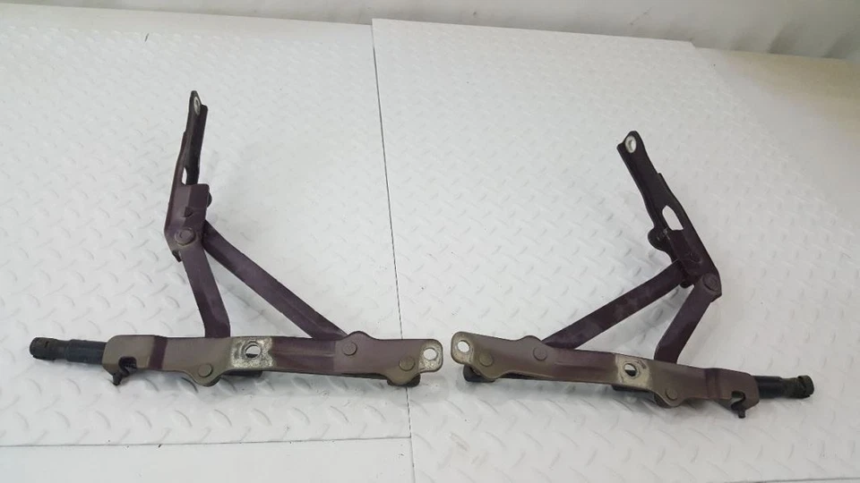 Hyundai Sonata 2010 par de bisagras de maletero con puntales Foto 4 de 4