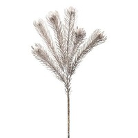 artplants Kunst Zweig Nadelkissen Protea Zanli, Gefroren, Grau, 50Cm