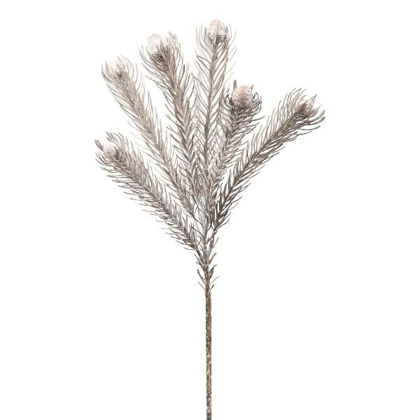 artplants Kunst Zweig Nadelkissen Protea Zanli, Gefroren, Grau, 50Cm-image