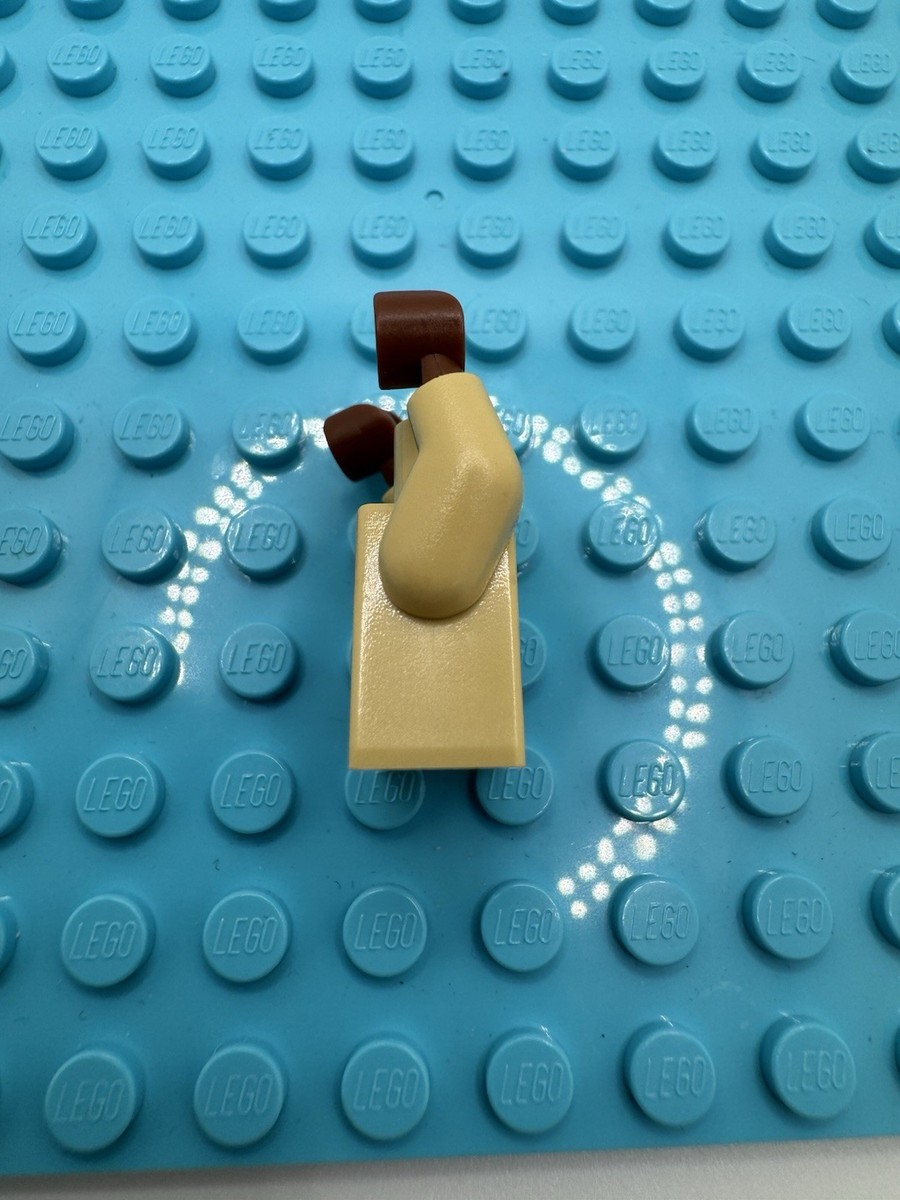 Lego Star Wars: Boushh Torso Sw0407 | eBay