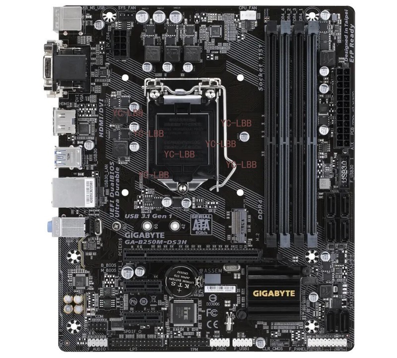 GIGABYTE GA-B250M-DS3H LGA 1151 Intel B250 HDMI Micro ATX Intel Motherboard