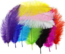 10Pcs Fluffy Ostrich Artificial Feathers Arts Crafts Mixed Colors 10"-12" Le...