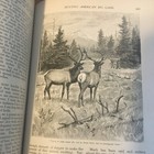 Picture 21 of 24
