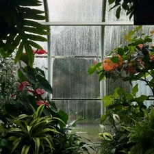 NOVEMBER RAIN (type) Fragrance Oil to craft Candles Soaps Lotions Bath products