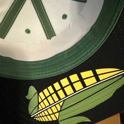 Neu mit Etikett NASCAR Iowa Speedway Corn 350 limitierte Auflage verstellbare Mütze #213 von 2024 - Bild 5 von 8