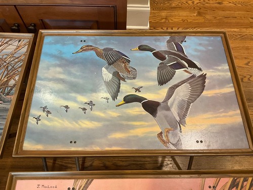 4 Tavoli Vassoio TV Pieghevole Vintage con J. Macleod Art Ducks Water Fowl MCM - Foto 8 di 12
