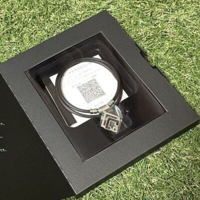 コラントッテTAO α ARAN Mil-1 Blucher 9087 コラントッテ TAO ネックレスα ARAN（アラン） | 磁気ネックレス