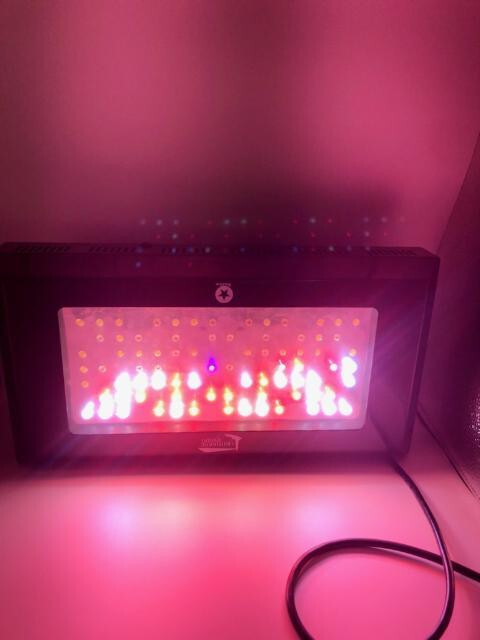 Lighthouse Hydro BlackStar Flowering LED Grow Light, 240-w   For Parts..As Shown
