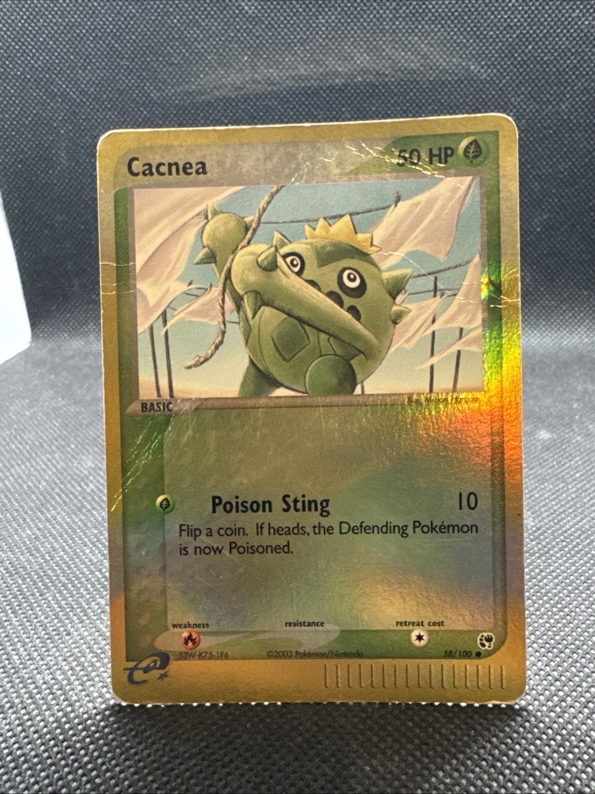 Cacnea 58/100 Sandstorm Reverse Holo HP Pokemon TCG