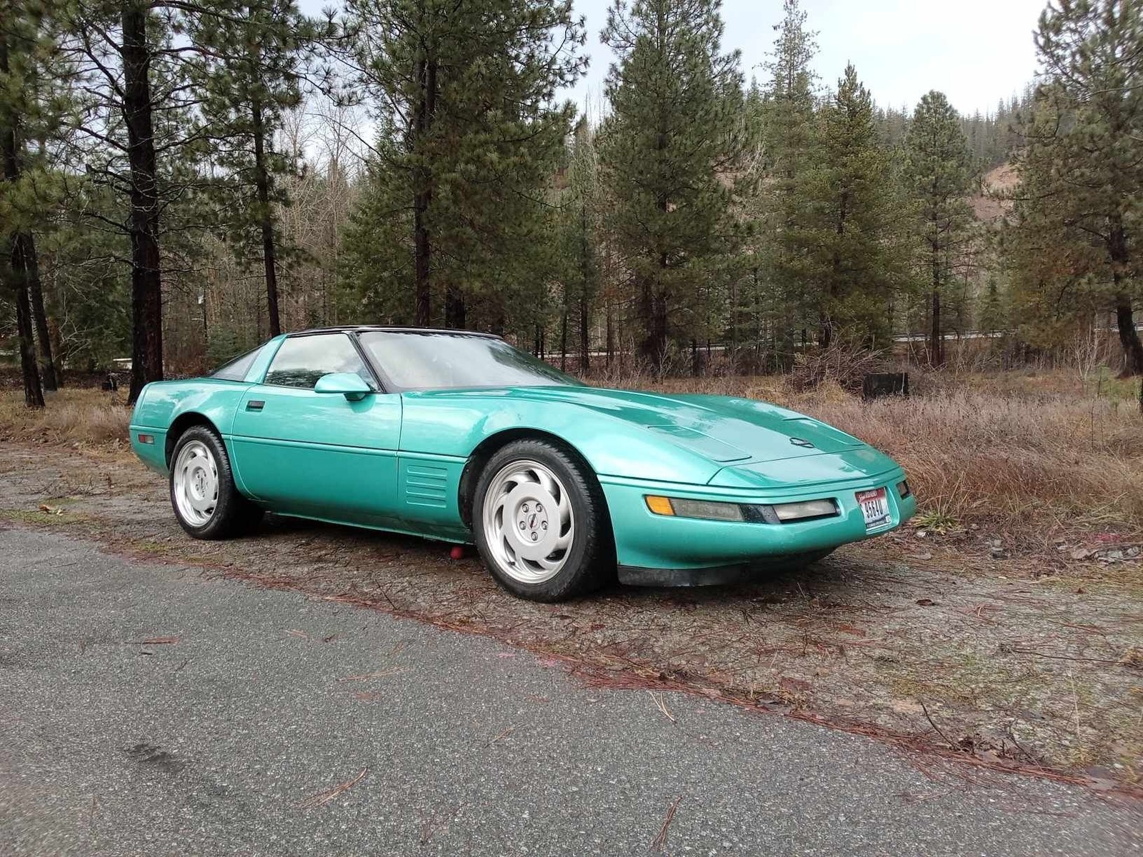 1990 Chevrolet Corvette for sale in Osburn Idaho