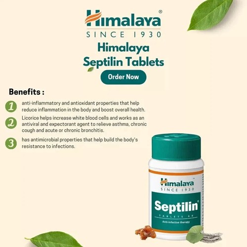 Himalaya Septilin Tablets, Pack of 10 x 60 Tablets | Natural Immune Support | - Picture 7 of 9