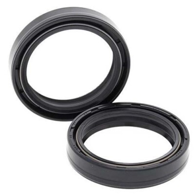 AllBalls Simmerringsatz Gabel 55-124, Triumph Speed Triple 955 EFI T509 Bj. 2001