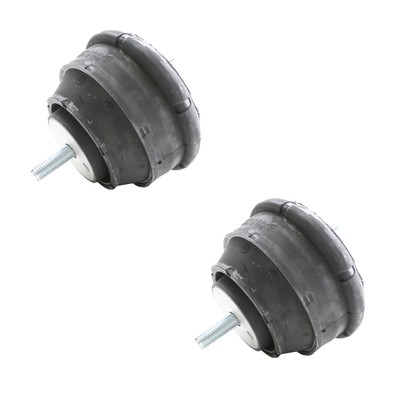 Lemforder 2pc Engine Mount Set for BMW E46 323i Ci 325i Ci 330i Ci E85 E86 Z4