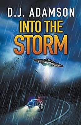 Into The Storm D. J. Adamson Taschenbuch Englisch 2023 D. J. Adamson