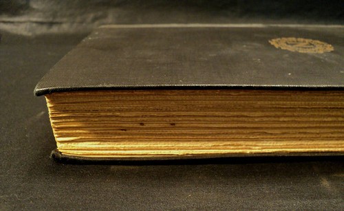 GREAT FIRST EDITION "NAPOLEAN" by EMIL LUDWIG, c. 1926 - Picture 6 of 9