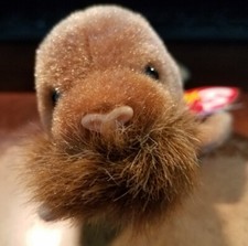 Ty Beanie Paul The Walrus with Tags 1999 Retired