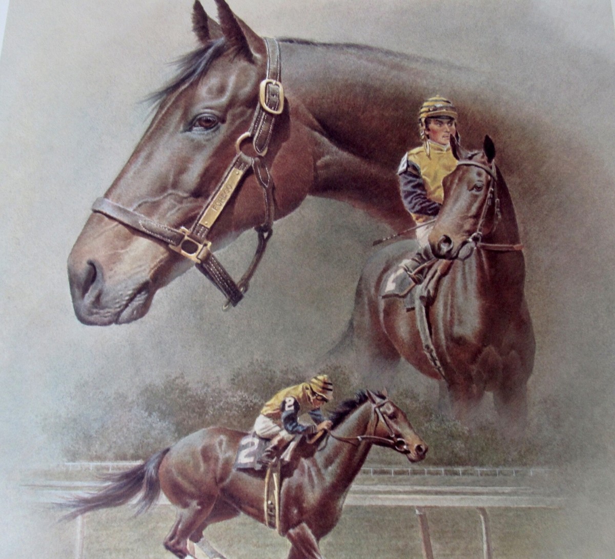 Fred Stone - Forego - Collectible Race Horse Print - MINT