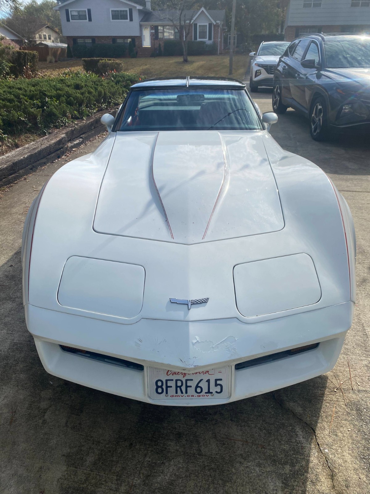 1980 White Chevrolet Corvette   | C3 Corvette Photo 3