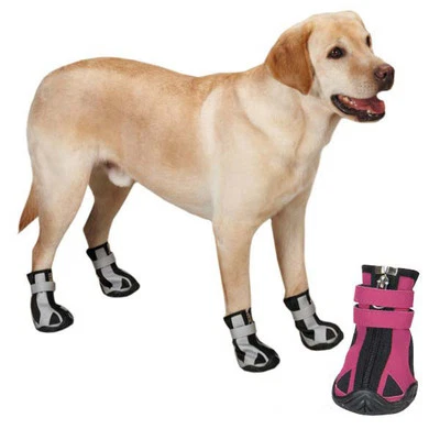 Guardian Gear Nordic Trek Dog Boots Snow Booties Paw Protection Winter Pet boot