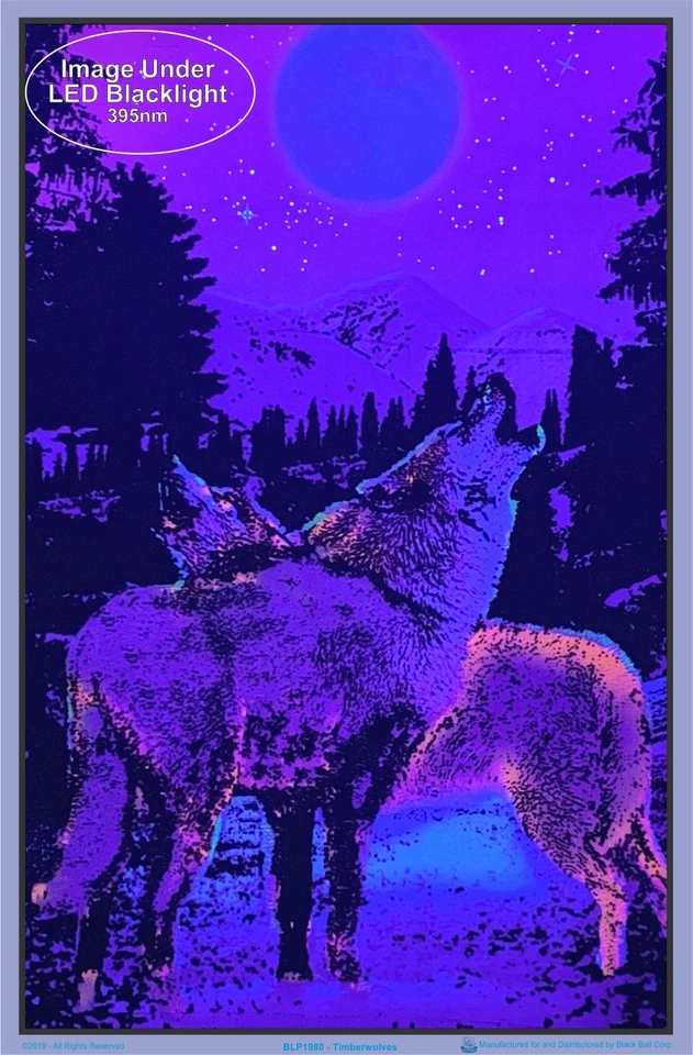 Timberwolves Flocked Blacklight Poster 23" x 35" Two Wolves Under Moonlight - Image 2 of 2