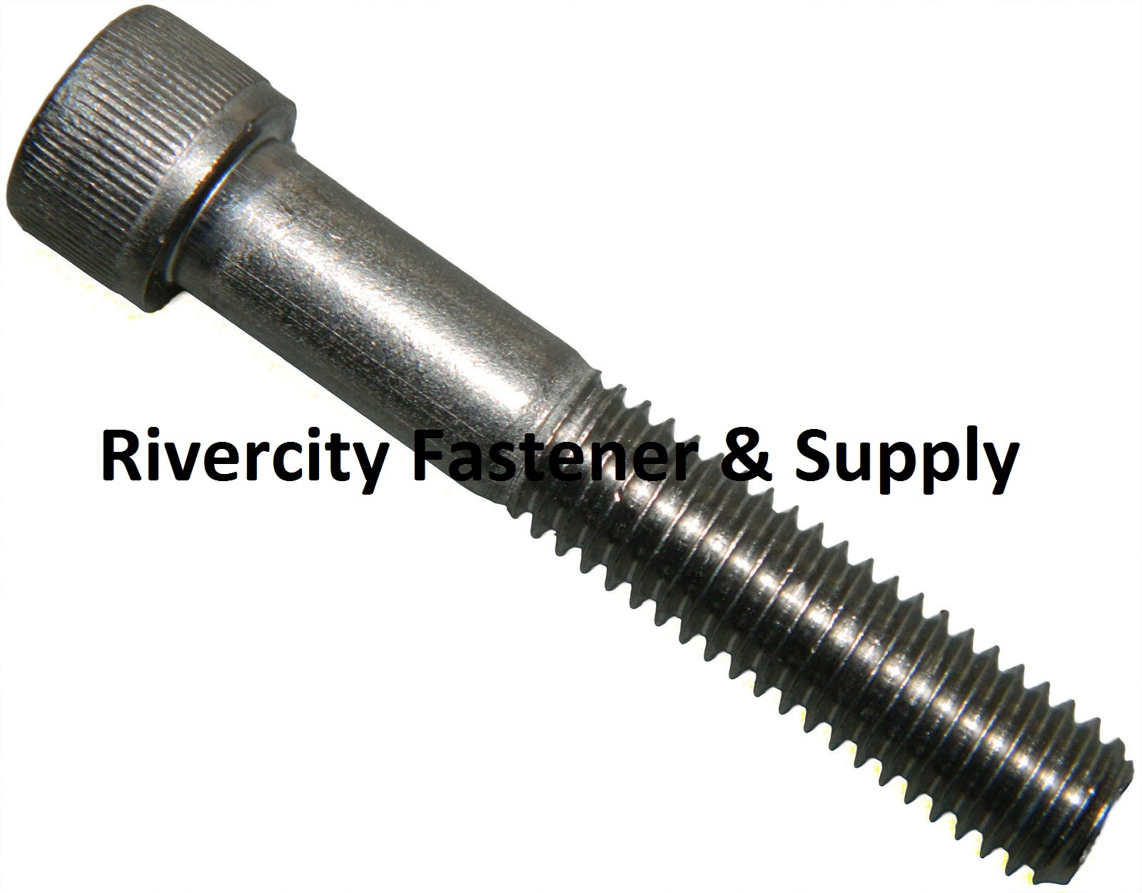 50) M6-1.0x75 Socket / Allen Head Cap Screw Stainless M6x1.0x75