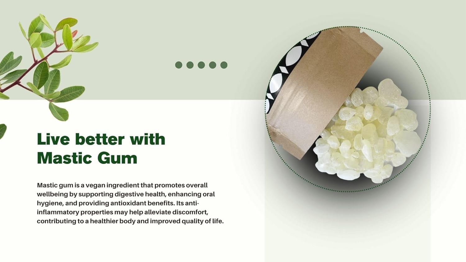 Chios Mastiha Tears Gum Greek 100% Natural Mastic Packs From Mastic Growers