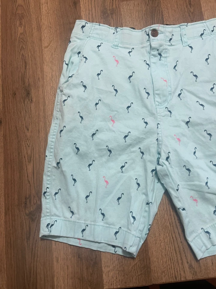 Pantalones Cortos Flex Plugg, Para Hombre Talla 32, Azul Rosa, Flamenco, Frente Plano Foto 3 de 4