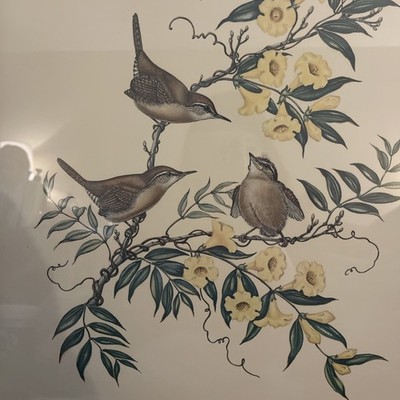 Anne Worsham Richardson Carolina Wren Yellow Jessamine Framed Bird