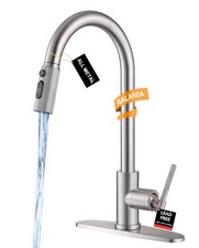 Brushed Nickel Kitchen Sink Faucet with Pull Down Sprayer- High Arc Stainless...