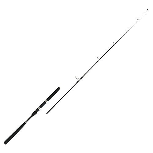 Pro Marine Plantilla Peleador S532M Náutica Jigging Caña Spinning Modelo con Pro Marine Plantilla Peleador S532M Náutica Jigging Caña Spinning Modelo con