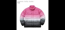 Veste blouson gonflable dégradé Bomber Supreme The North Face 