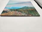 Picture 8 of 12