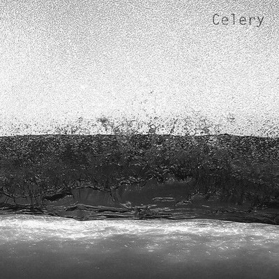 Celery CD