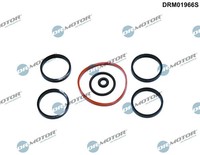 Dichtungsset, AnsaugkrüMmer Dr. Motor Automotive DRM01966S FüR OE 1580144