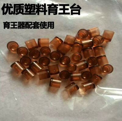 500 Pcs Brown Beekeepers Bee Queen   Beekeeping Raise Rearing Cell Cup #E1