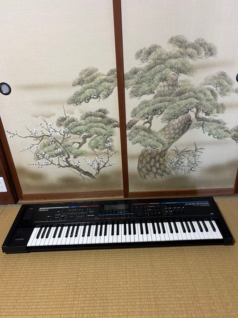 Roland JUNO-STAGE シンセサイザー 本体 Roland Juno-Stage Synthesizer for sale online | eBay