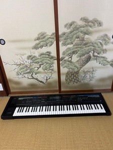 Roland Juno Stage | eBay