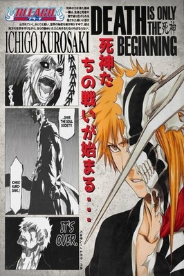 Bleach Ichigo Kurosaki Death Is Only The Beginning Poster