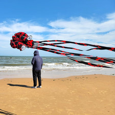 Octopus Kite for Kids and Adults, Large 3D Software Octopus Kites with Long Tail