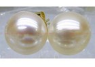 Pearl Stud Earrings 14K Gold Wholesale 9-10mm Natural White Freshwater