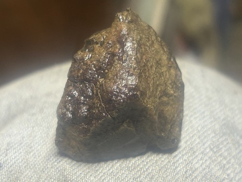 Knochenfragment. Von Dinosauriern (unbekannte Spezies) Dinodagget - Bild 1 von 9