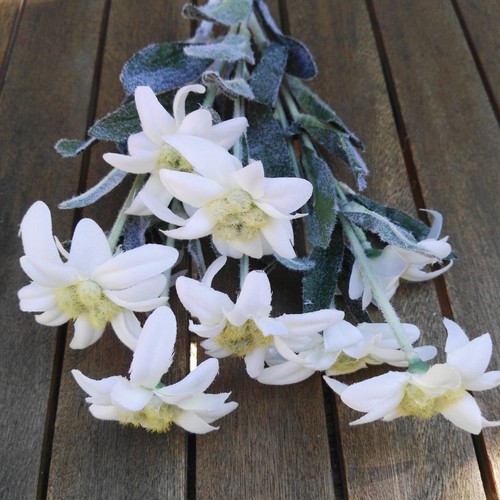 9 x Edelweiß 30cm Blüten Landhaus Kunstblume Landhaus Blumen Weiß