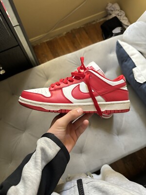 Size 8 - Nike Dunk Retro SP Low St. John's