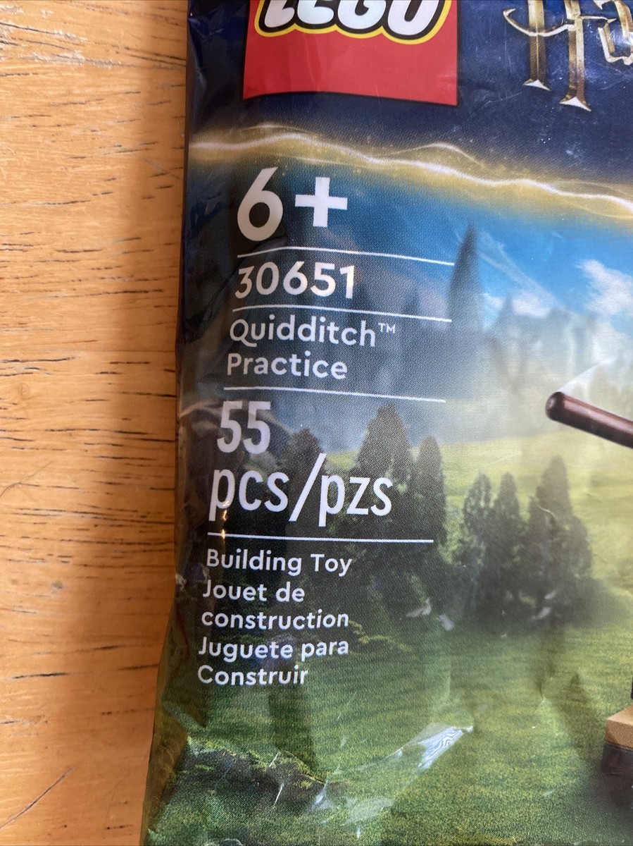 LEGO 30651 Harry Potter Quidditch Practice Cho Chang Minifigure