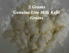 Genuine Live Milk Kefir Grains
