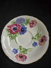 Paragon Anemone Poppies Cup Saucer Gold Trim England Bone China — photo 2