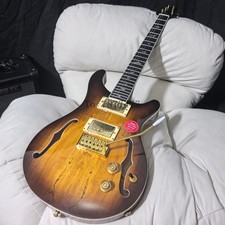 Semi-Hollow Electric Guitar Spalted Maple Top HH pickups Gold Hardware Tremolo